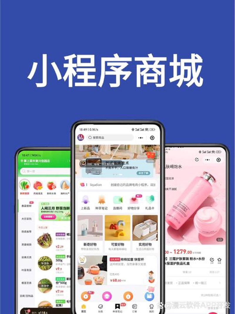 海口软件开发：信息技术发展的新引擎